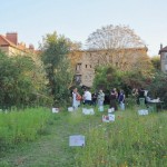 Les cités-jardins inspirent l’urbanisme de demain