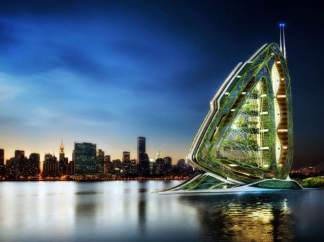 dragonfly-la-nuit-newyork