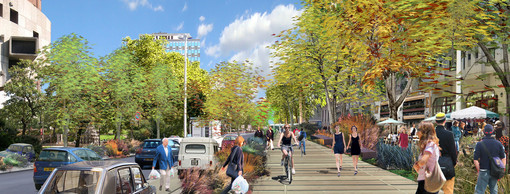 Rue Garibalddi : ce qui va changer