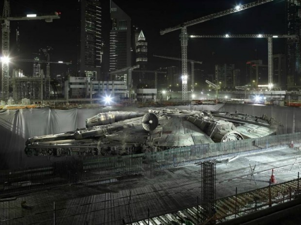 Falcon - © Cédric Delsaux