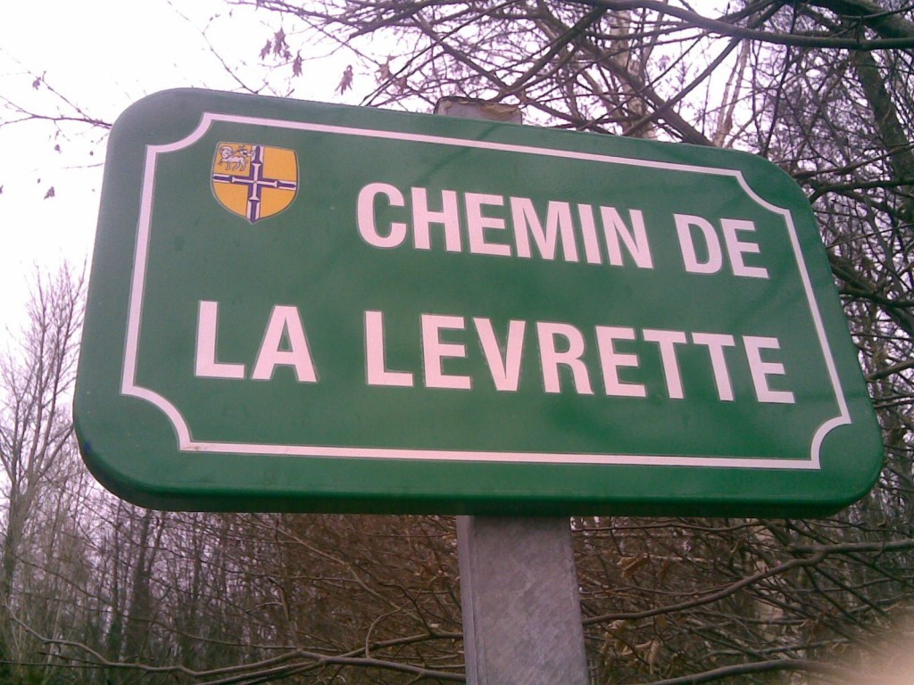 Où est le nom de la rue ?  UrbaNews
