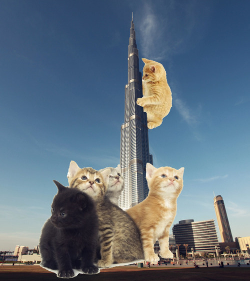 tumblr_m2dy9pAVQa1rsiucno1_500