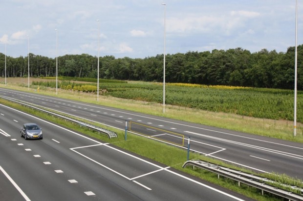 "Out of Place" - Freeway.