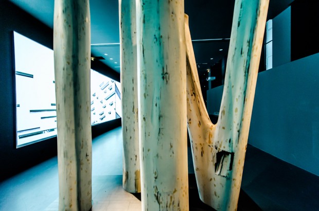 Ricciotti Architecte