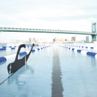 +Pool © Family, PlayLab