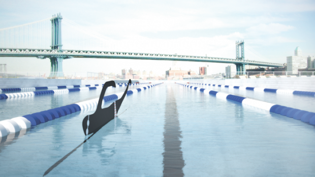 +Pool © Family, PlayLab