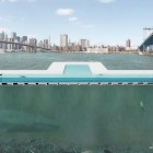 +Pool © Family, PlayLab