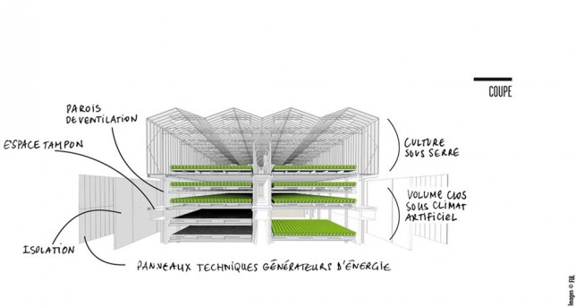 © Notus - FUL La première Ferme Urbaine Lyonnaise ?