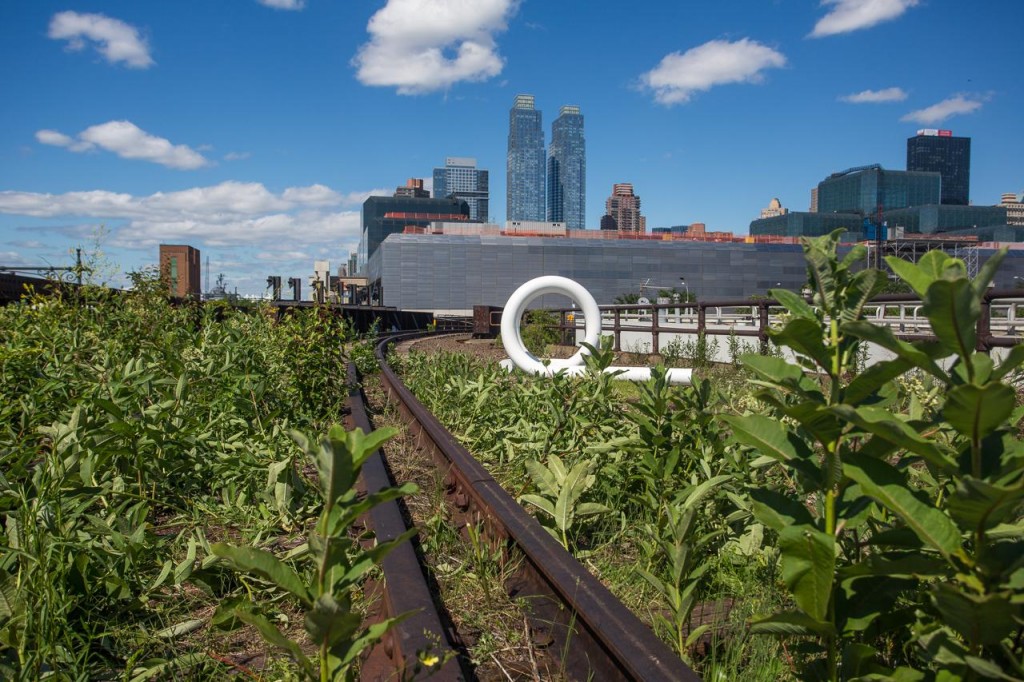 Le dernier tronçon "sauvage" de la High Line - Sam Horine - Gothamist
