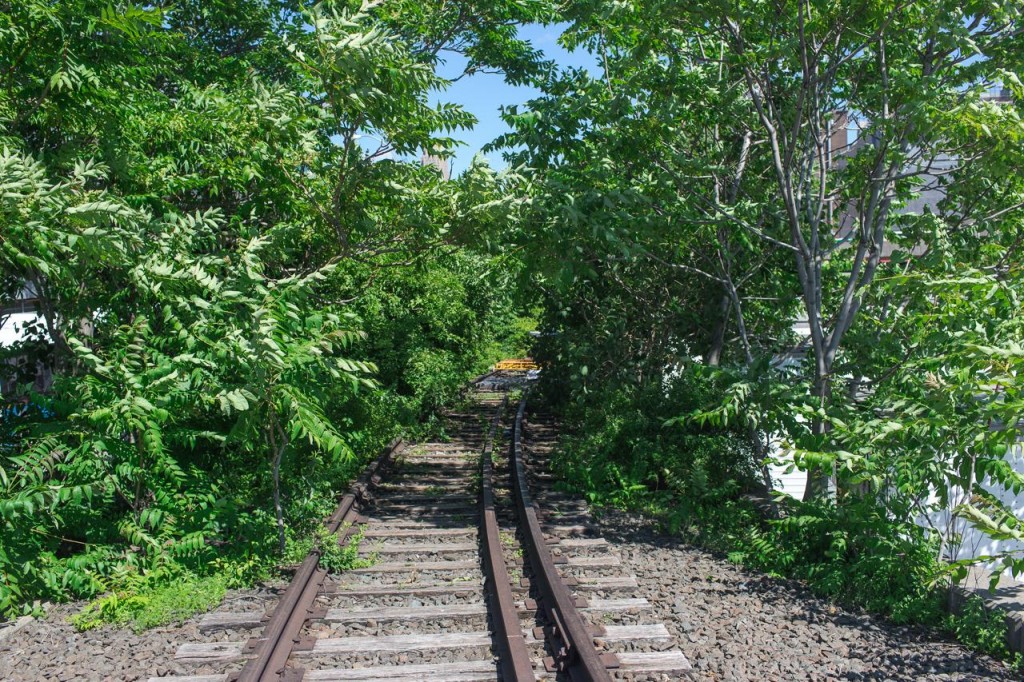 Le dernier tronçon "sauvage" de la High Line - Sam Horine - Gothamist