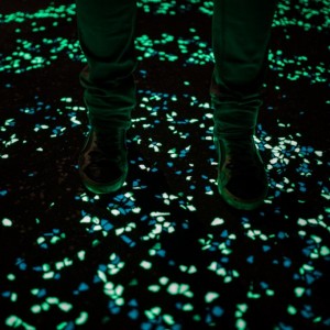 Une Piste Cyclable Phosphorescente aux Pays-Bas - Studio Roosegaarde
