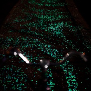 Une Piste Cyclable Phosphorescente aux Pays-Bas - Studio Roosegaarde