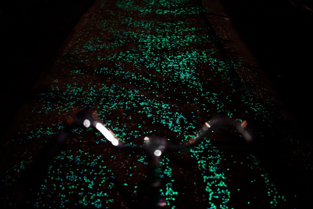 Une Piste Cyclable Phosphorescente aux Pays-Bas - Studio Roosegaarde
