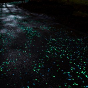 Une Piste Cyclable Phosphorescente aux Pays-Bas - Studio Roosegaarde