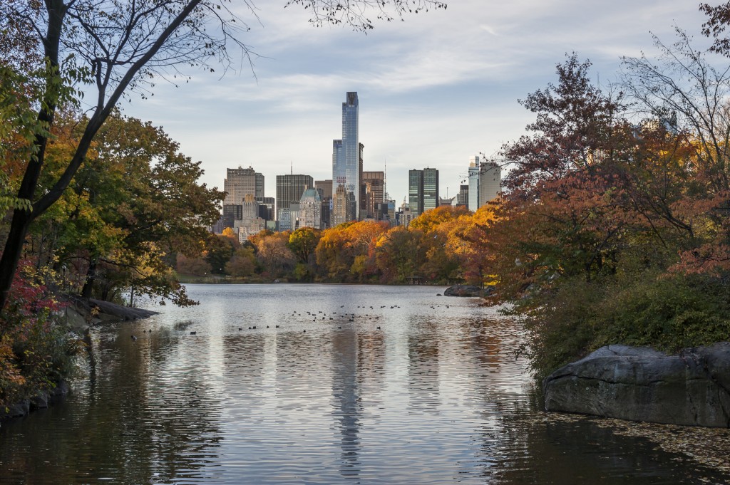 One57 Tower - Wade Zimmermann