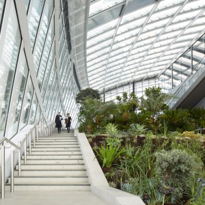 Sky Garden - Londres - © Edmund Sumner