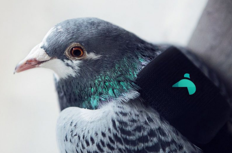 Plume Air Patrol - Londres - Plume Labs