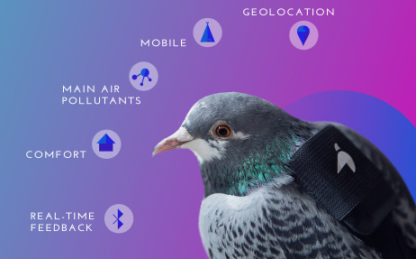 Plume App - Plume Labs