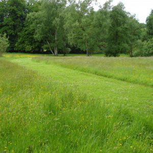 Un exemple de "gestion différenciée" d'un espace