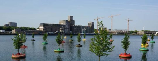 Dobberend Bos - Rotterdam - Pépinières Van Den Berk