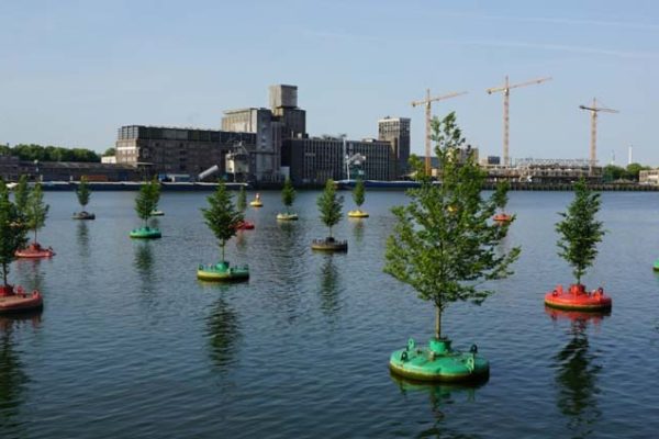 Dobberend Bos - Rotterdam - Pépinières Van Den Berk