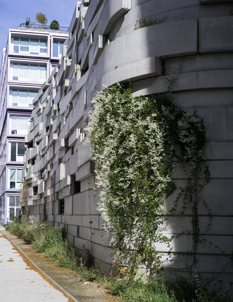 Groupe scolaire de la Biodiversité Boulogne Billancourt - Crédits photo Chartier Dalix