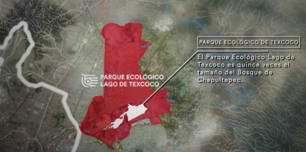 Parque Ecológico Lago de Texcoco - Mexico - Iñaki Echeverria
