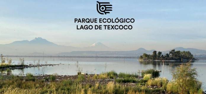 Parque Ecológico Lago de Texcoco - Mexico - Iñaki Echeverria
